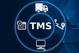 image-2 TMS: A Evolução na Gestão de Transporte Moderna
